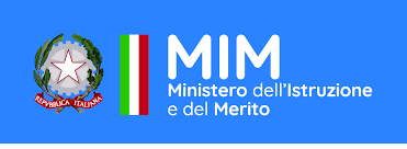 MIM